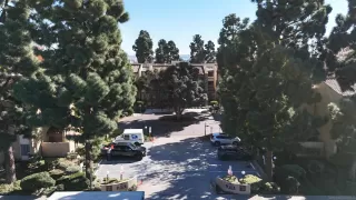 Photo #2: 250043068 Listing 