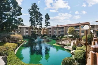 Photo #4: 250043068 Listing 