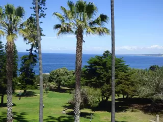 Photo #2: 250043076 Listing 