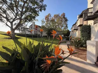 Photo #2: 250043121 Listing