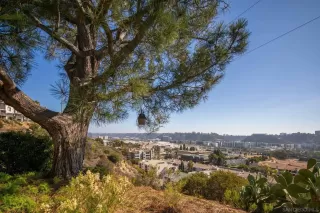 Photo #4: 250043121 Listing