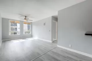 Photo #6: 250043139 Listing