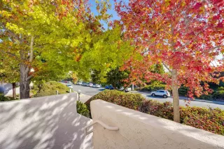 Photo #3: 250043187 Listing