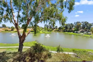 Photo #1: 250043193 Listing 