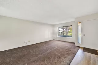 Photo #4: 250043210 Listing