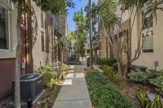 Photo #1: 250043355 Listing