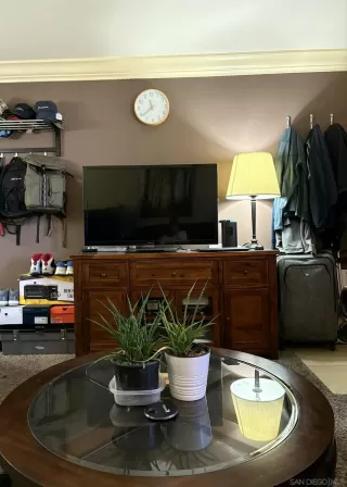 Photo #6: 250043384 Listing 