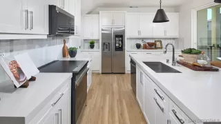 Photo #5: 250043467 Listing 