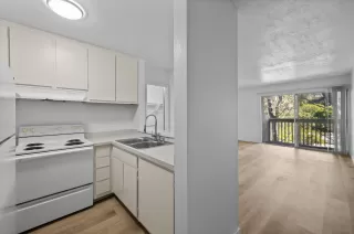 Photo #1: 250043478 Listing