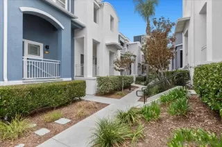 Photo #1: 250043577 Listing 