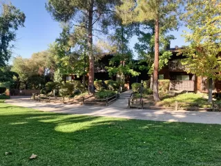 Photo #5: 250043678 Listing 