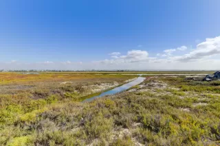 Photo #3: 250043695 Listing