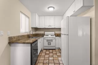 Photo #3: 250043741 Listing 