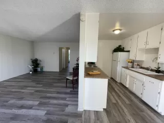 Photo #3: 250043742 Listing 