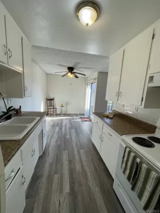 Photo #5: 250043742 Listing 