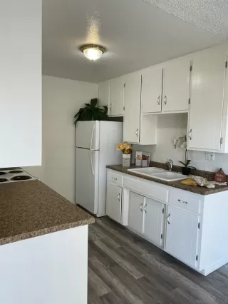 Photo #6: 250043742 Listing 