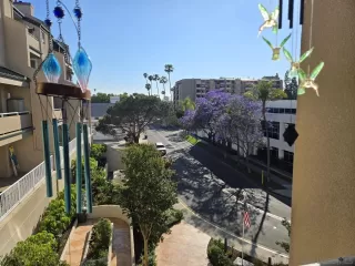 Photo #3: 250043882 Listing