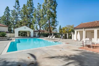 Photo #3: 250044011 Listing