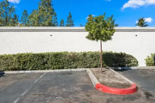 Photo #6: 250044011 Listing