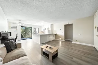 Photo #1: 250044067 Listing 