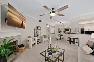 Photo #1: 250044075 Listing 