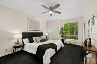 Photo #5: 250044075 Listing 