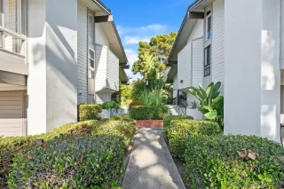 Photo #2: 250044131 Listing 