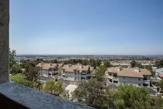 Photo #2: 250044243 Listing 