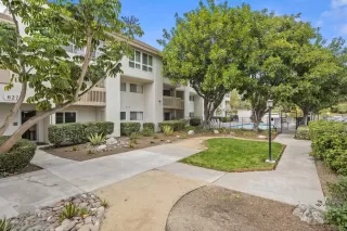 Photo #2: 250044249 Listing 