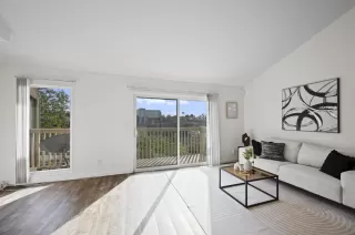 Photo #3: 250044290 Listing