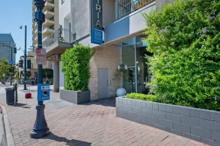 Photo #6: 250044322 Listing 