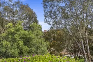 Photo #2: 250044337 Listing 