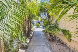 Photo #6: 250044364 Listing 