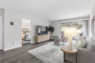 Photo #1: 250044449 Listing