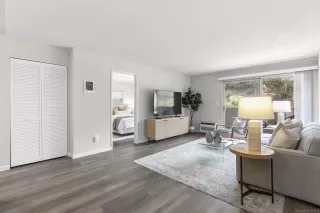 Photo #5: 250044449 Listing