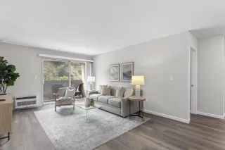 Photo #6: 250044449 Listing