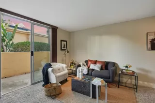 Photo #1: 250044458 Listing 