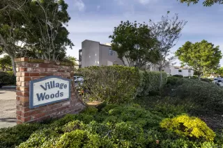 Photo #1: 250044519 Listing 