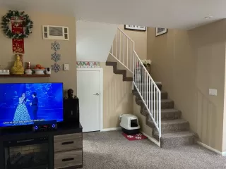 Photo #6: 250044528 Listing 