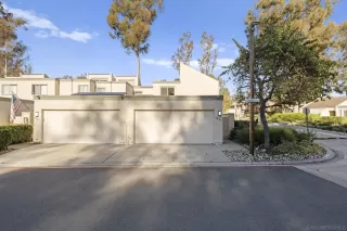 Photo #1: 250044790 Listing 