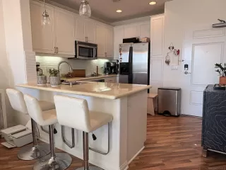 Photo #1: 250044830 Listing