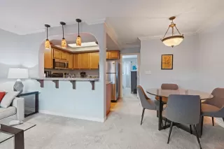 Photo #5: 250044874 Listing 