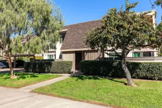 Photo #1: 250044900 Listing 