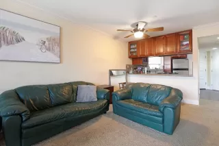 Photo #3: 250044985 Listing 