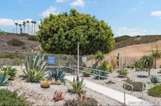 Photo #2: 250044986 Listing 