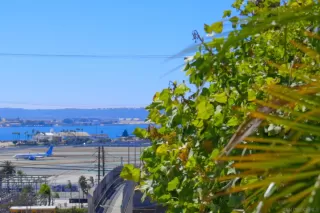 Photo #3: 250044998 Listing 