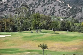 Photo #3: 250045046 Listing