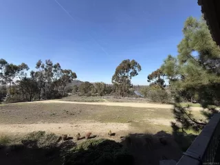 Photo #3: 250045109 Listing