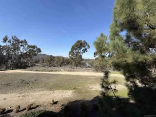 Photo #4: 250045109 Listing