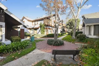 Photo #1: 250045142 Listing 